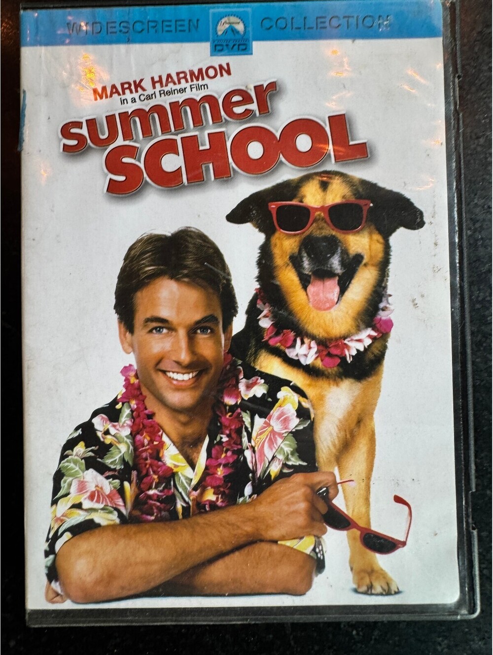 Summer School DVD (Widescreen Edition)